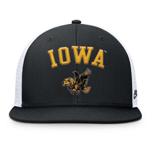 Nike Iowa Hawkeyes Pro Trucker Flexfit Hat