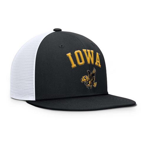 Nike Iowa Hawkeyes Pro Trucker Flexfit Hat