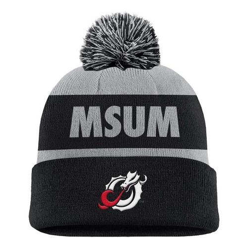 Nike Minnesota State Mavericks Peak Stripe Beanie - Primary Image