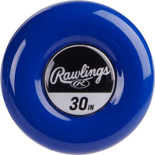 Rawlings Youth 2025 Raptor USA Baseball Bat - Primary Image