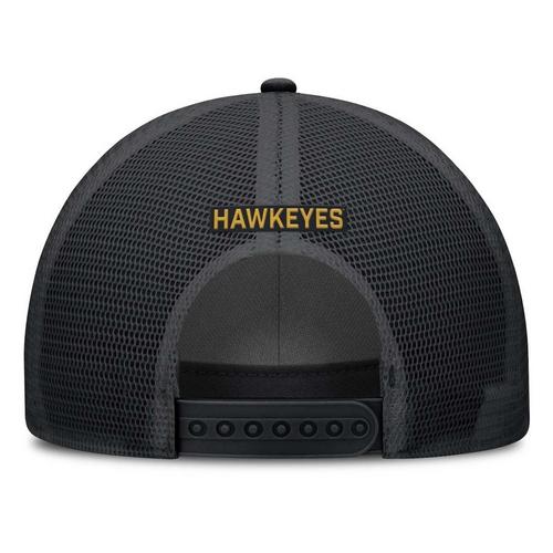 Nike Iowa Hawkeyes Rise Mesh Stretch Fit Hat - Primary Image