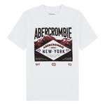 Kids' abercrombie kids Adirondacks Graphic T-Shirt - Thumbnail 1 of 2