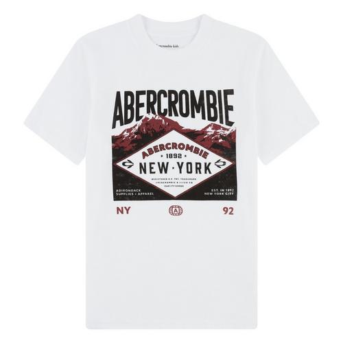 Kids' abercrombie kids Adirondacks Graphic T-Shirt - Primary Image