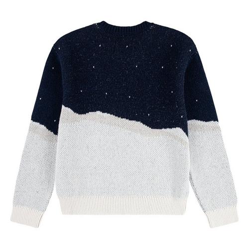 Kids' abercrombie kids Moose Pullover Sweater - Primary Image