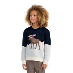 Kids' abercrombie kids Moose Pullover Sweater - Thumbnail 3 of 3