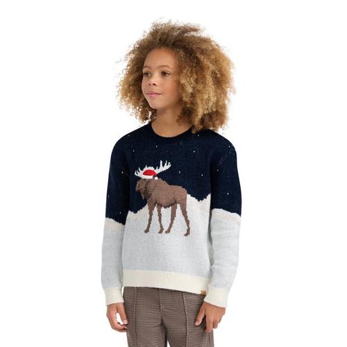 Kids' abercrombie kids Moose Pullover Sweater - Primary Image