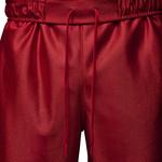 Men's Jordan Brooklyn Cat Scratch Shorts - Thumbnail 3 of 3