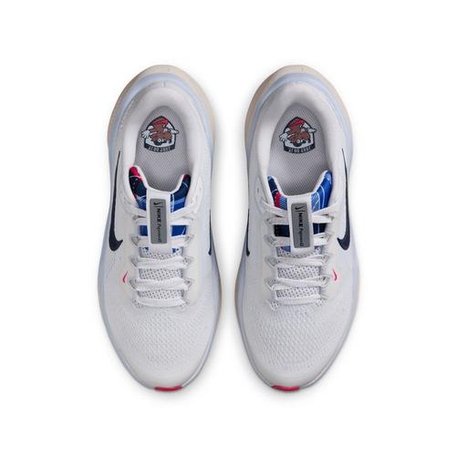 Big Kids' Nike Pegasus 41 Running Sneakers - Primary Image