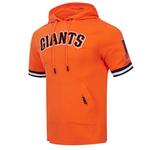 Pro Standard San Francisco Giants Classic Chenille Short Sleeve Hoodie - Thumbnail 1 of 2