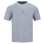 Pro Standard Arizona Diamondbacks Reverse T-Shirt - Thumbnail 1 of 3