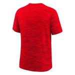 Nike Kids' St. Louis Cardinals Velocity T-Shirt - Thumbnail 2 of 2