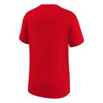 Nike Kids' St. Louis Cardinals City Connect Local T-Shirt - Thumbnail 2 of 2