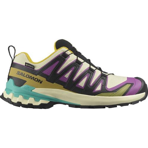 Women's Salomon XA Pro 3D V9 GORE-TEX Hiking Shoes - Primary Image