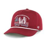 47 Brand Arizona Diamondbacks 2025 Spring Training Down Stripe Adjustable Hat - Thumbnail 1 of 2
