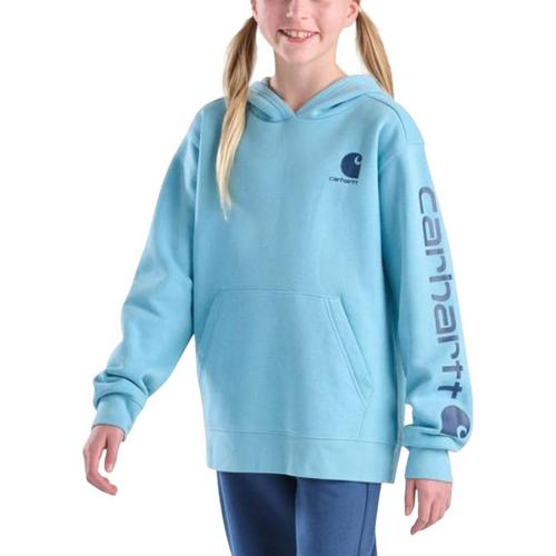 Kids' Carhartt Logo Hoodie - Primary Image