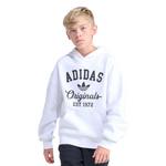 Kids' adidas Loose Fit Varsity Fleece Hoodie - Thumbnail 1 of 4