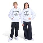 Kids' adidas Loose Fit Varsity Fleece Hoodie - Thumbnail 4 of 4