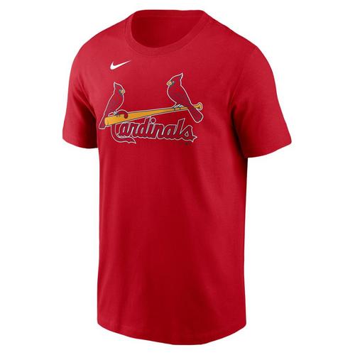 Nike St. Louis Cardinals Nolan Arenado #28 City Connect Name & Number T-Shirt - Primary Image