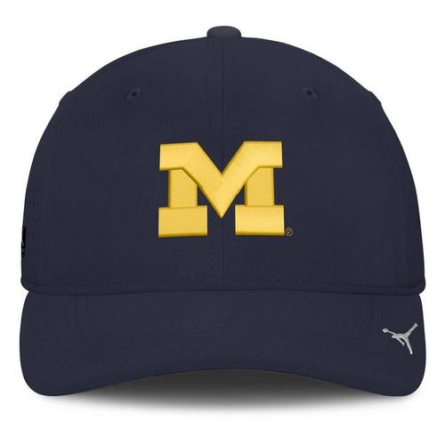 Nike Michigan Wolverines Aero Swooshflex Flexfit Hat - Primary Image