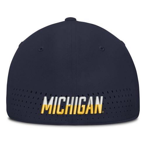 Nike Michigan Wolverines Aero Swooshflex Flexfit Hat - Primary Image