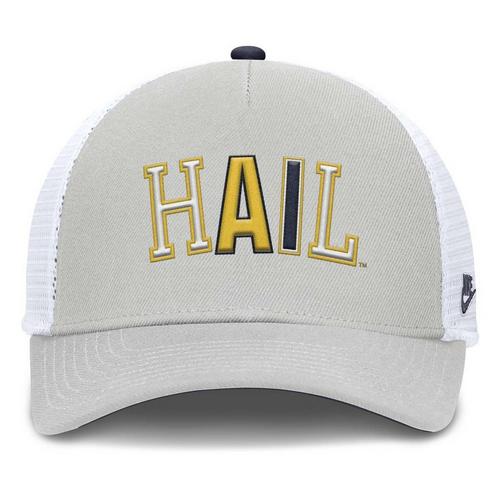 Nike Michigan Wolverines Rise Tri Flexfit Hat - Primary Image