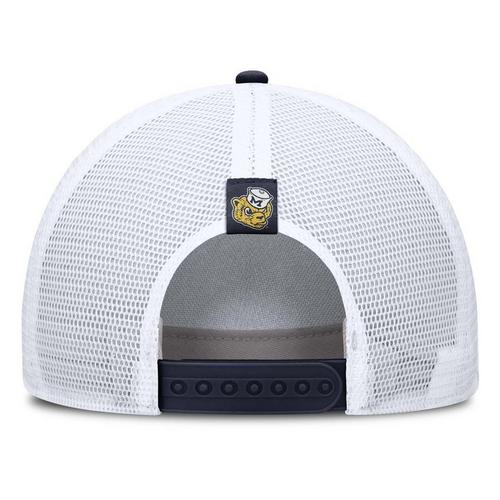 Nike Michigan Wolverines Rise Tri Flexfit Hat - Primary Image