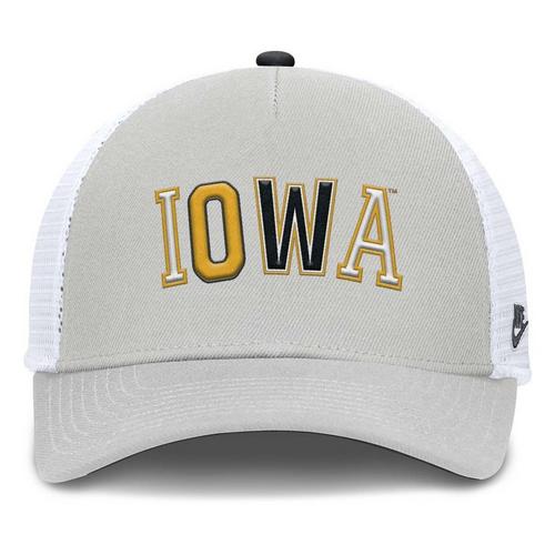 Nike Iowa Hawkeyes Rise Tri Flexfit Hat - Primary Image