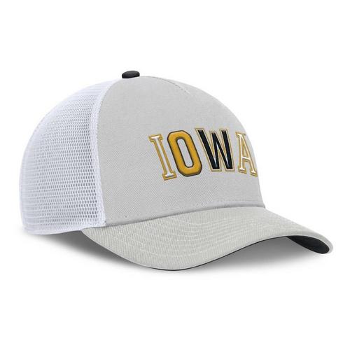 Nike Iowa Hawkeyes Rise Tri Flexfit Hat - Primary Image