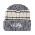 47 Brand North Dakota State Bison Harbor Stripe Beanie - Thumbnail 1 of 2