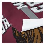 TheNorthwest Montana Grizzlies Bevel Printed Wall Hanging - Thumbnail 2 of 3