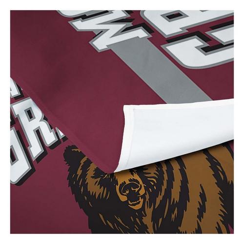 TheNorthwest Montana Grizzlies Bevel Printed Wall Hanging - Primary Image