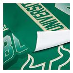 TheNorthwest South Florida Bulls Bevel Printed Wall Hanging - Thumbnail 2 of 3