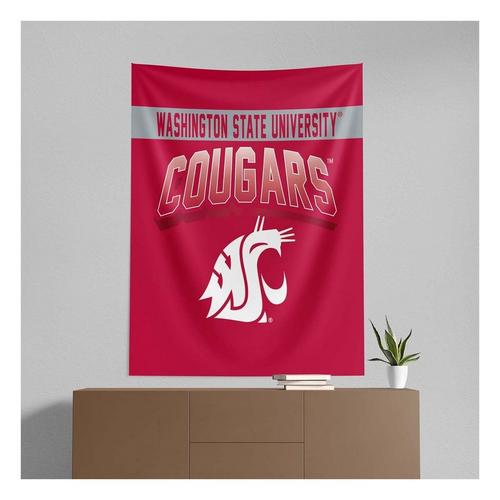 TheNorthwest Washington State Cougars Bevel Printed Wall Hanging - Primary Image