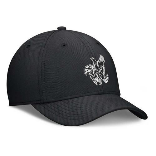 Nike Iowa Hawkeyes DriFit Vintage Swooshflex Flexfit Hat - Primary Image