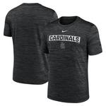 Nike St. Louis Cardinals 2025 Velocity Rewind T-Shirt - Thumbnail 3 of 6