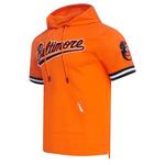 Pro Standard Baltimore Orioles Classic Chenille Short Sleeve Hoodie - Thumbnail 1 of 2