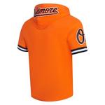 Pro Standard Baltimore Orioles Classic Chenille Short Sleeve Hoodie - Thumbnail 2 of 2