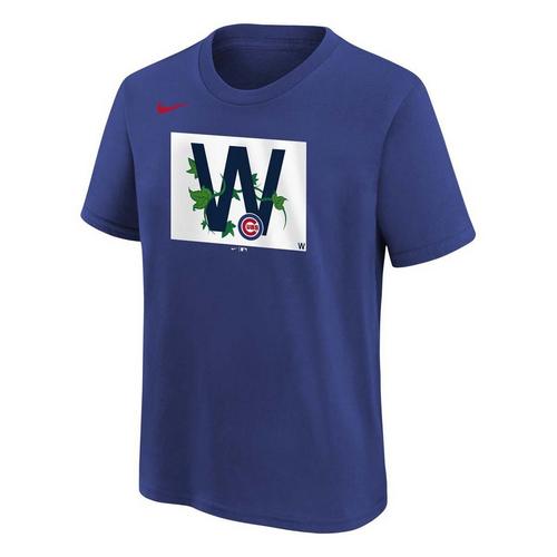 Nike Kids' Chicago Cubs Local T-Shirt - Primary Image