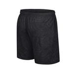 Colosseum Iowa Hawkeyes Duncan 7" Inseam Swim Shorts - Thumbnail 2 of 2
