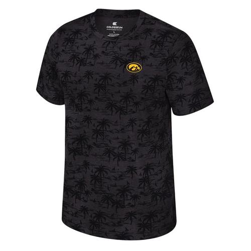 Colosseum Iowa Hawkeyes Freeman Palms T-Shirt - Primary Image