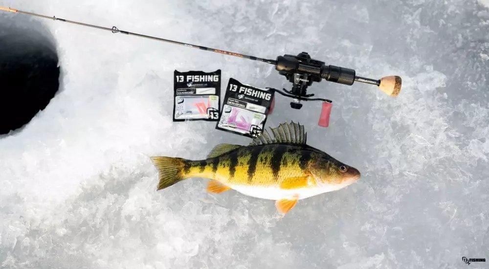 an ice rod, lures, and a fish laying out on the ice