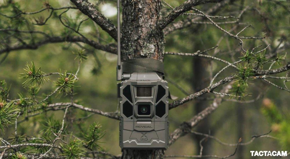 a trail camera attached to a tree in the woods