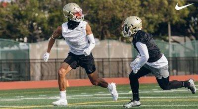 Men's Jordan 1 Low TD Molded Football Cleats