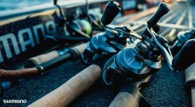 A Complete Guide to Choosing a Baitcaster Reel