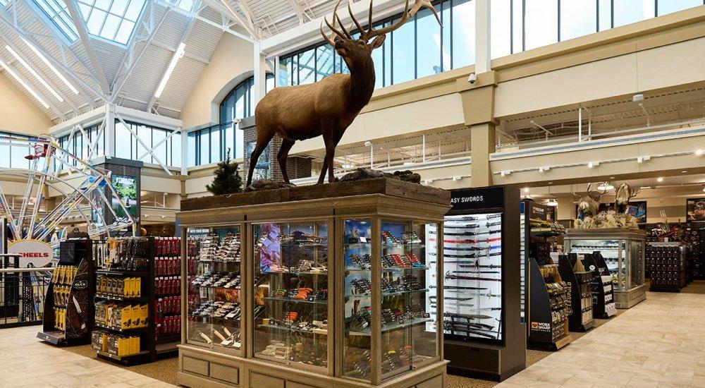 hunting display at a SCHEELS store location