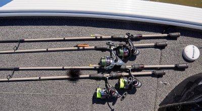 Types of Fishing Hooks—A Complete Overview