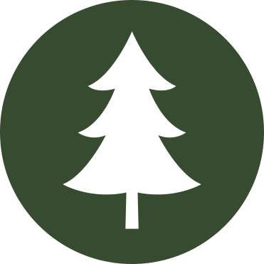 Christmas Tree Icon