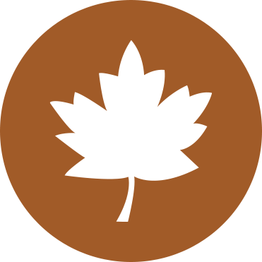 Fall Leaf Icon