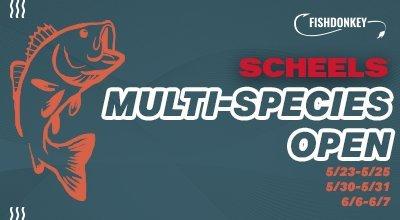 SCHEELS FishDonkey Multi-Species Open