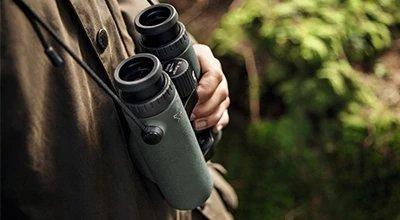 The Best Binoculars for Birding